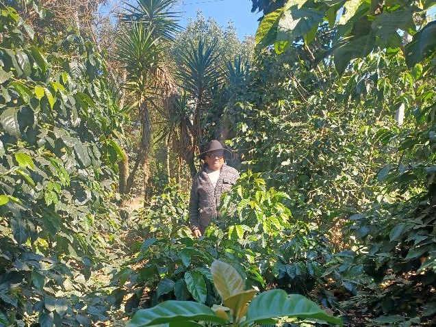 22-241 Rosalio Cali 10.jpg